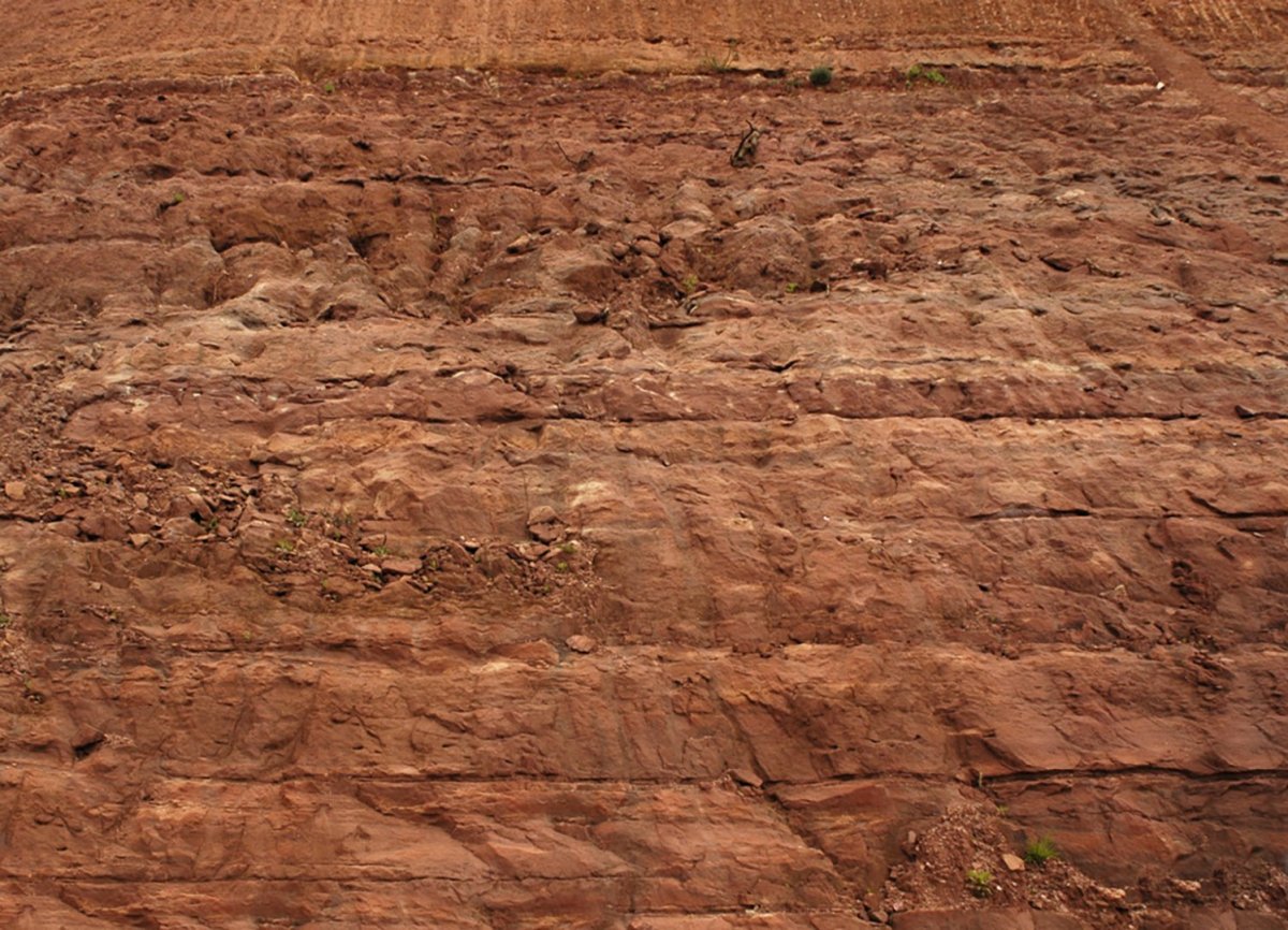 Срез грунта текстура