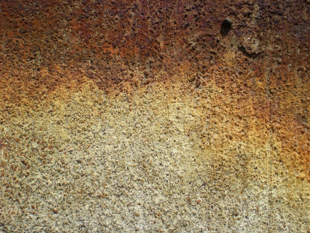 Почва в разрезе