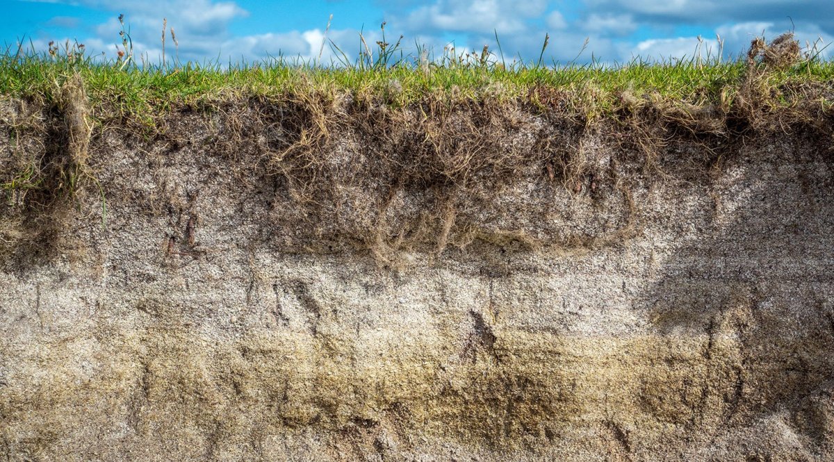 Текстура земли в разрезе