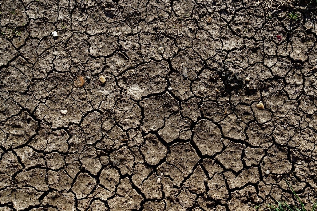 Текстура слоистой породы