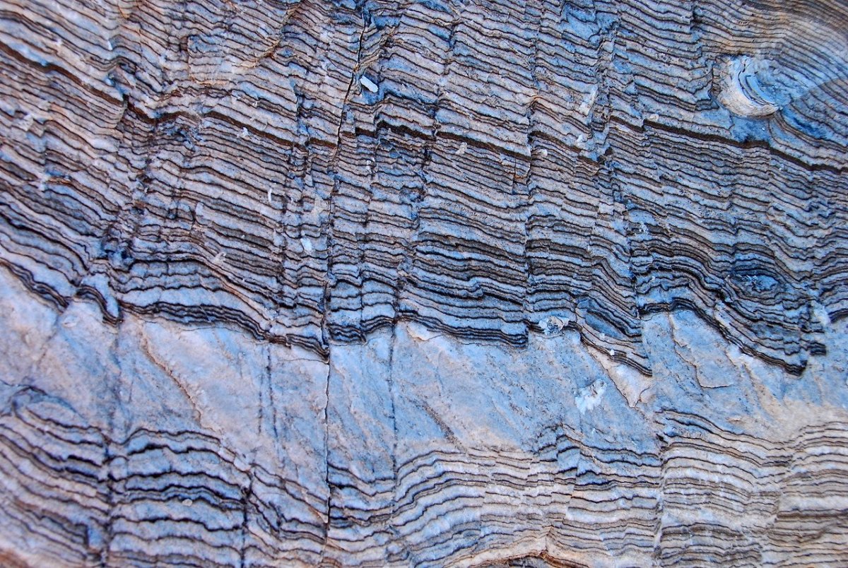 Слоистость осадочных горных пород