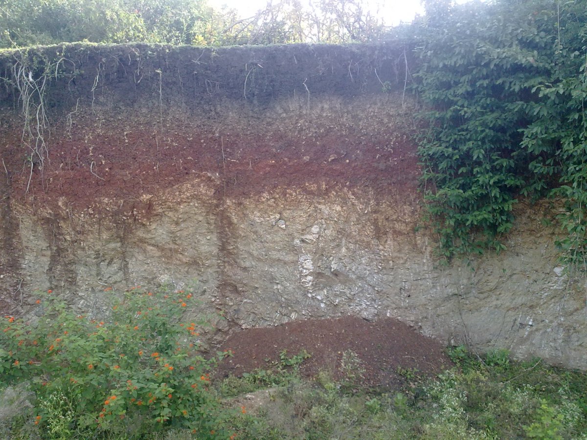 Срез земли текстура