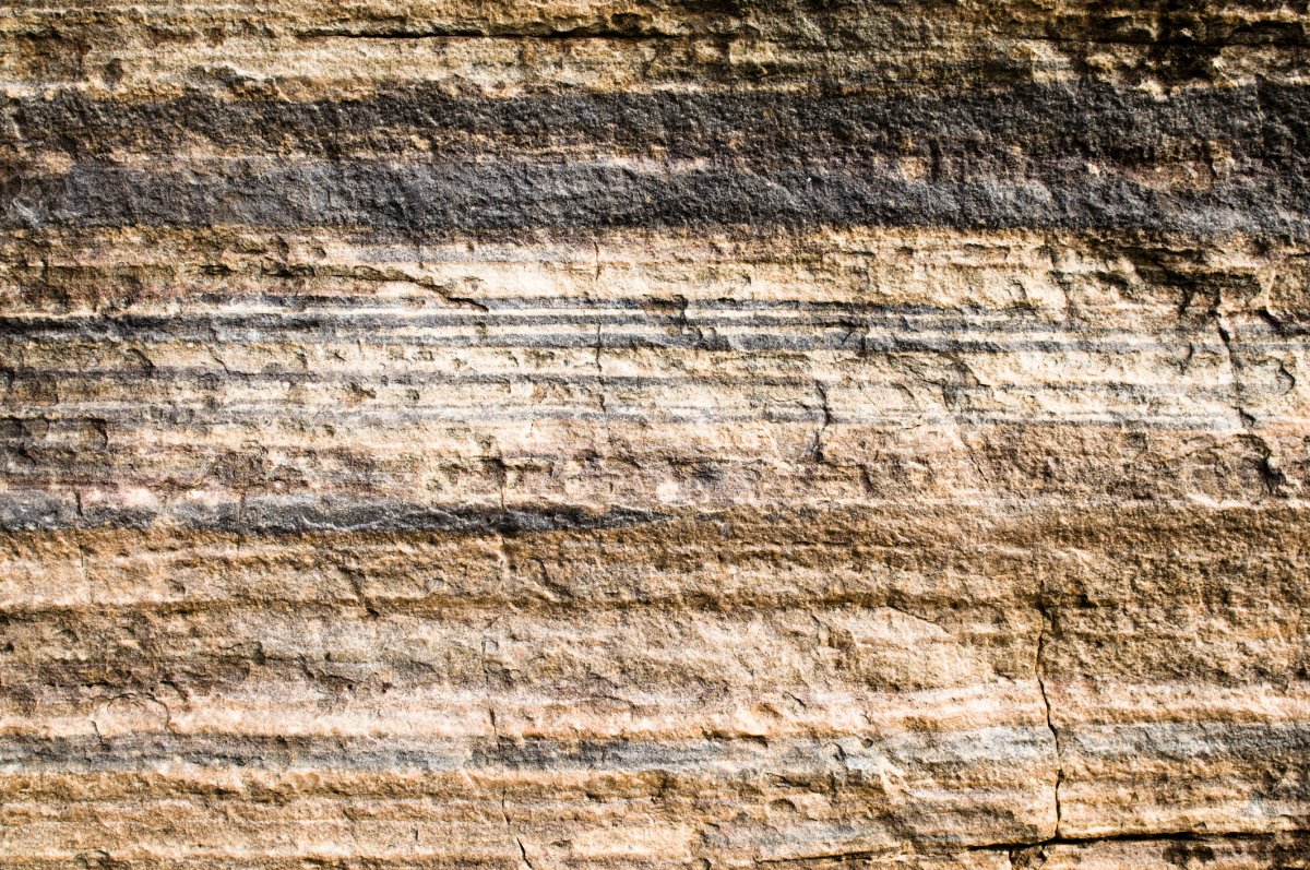 Текстура земли