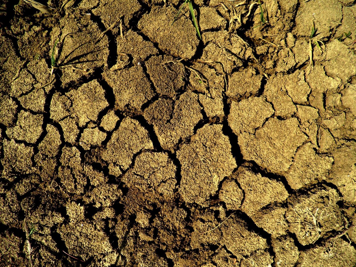 Срез полированного камня