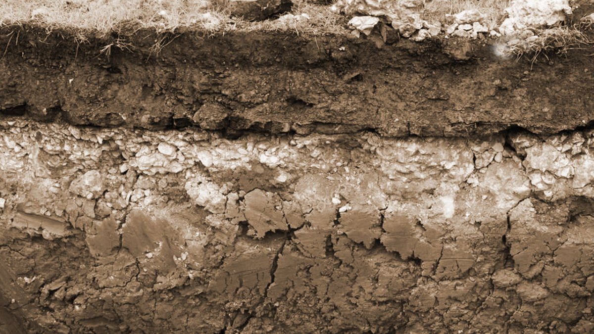 Поверхность почвы