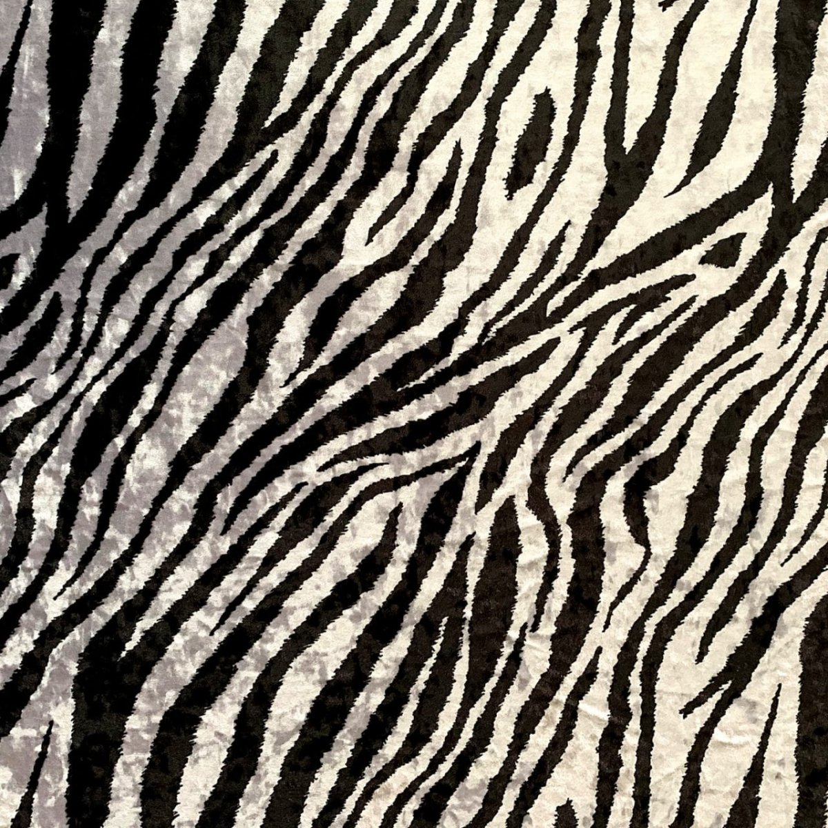 Принты Зебра