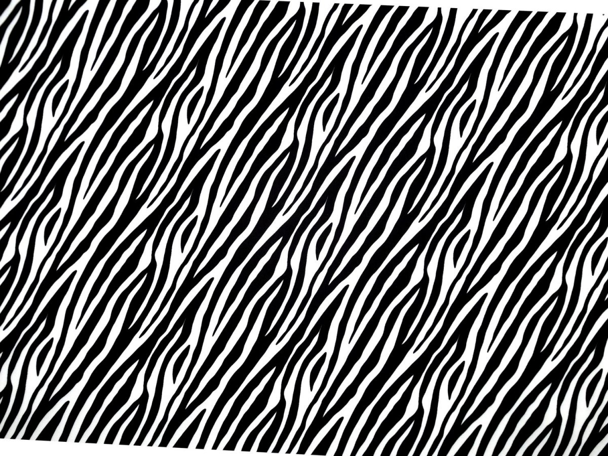 Зебра текстура бесшовная