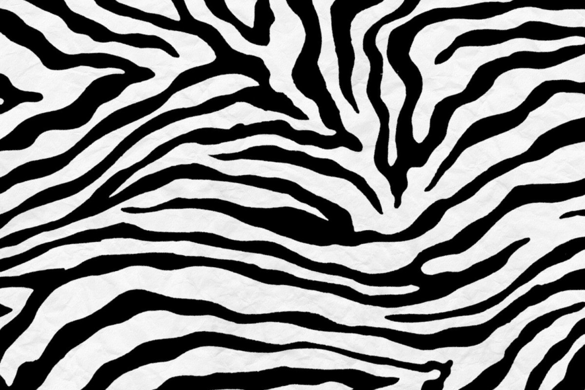 Зебра паттерн