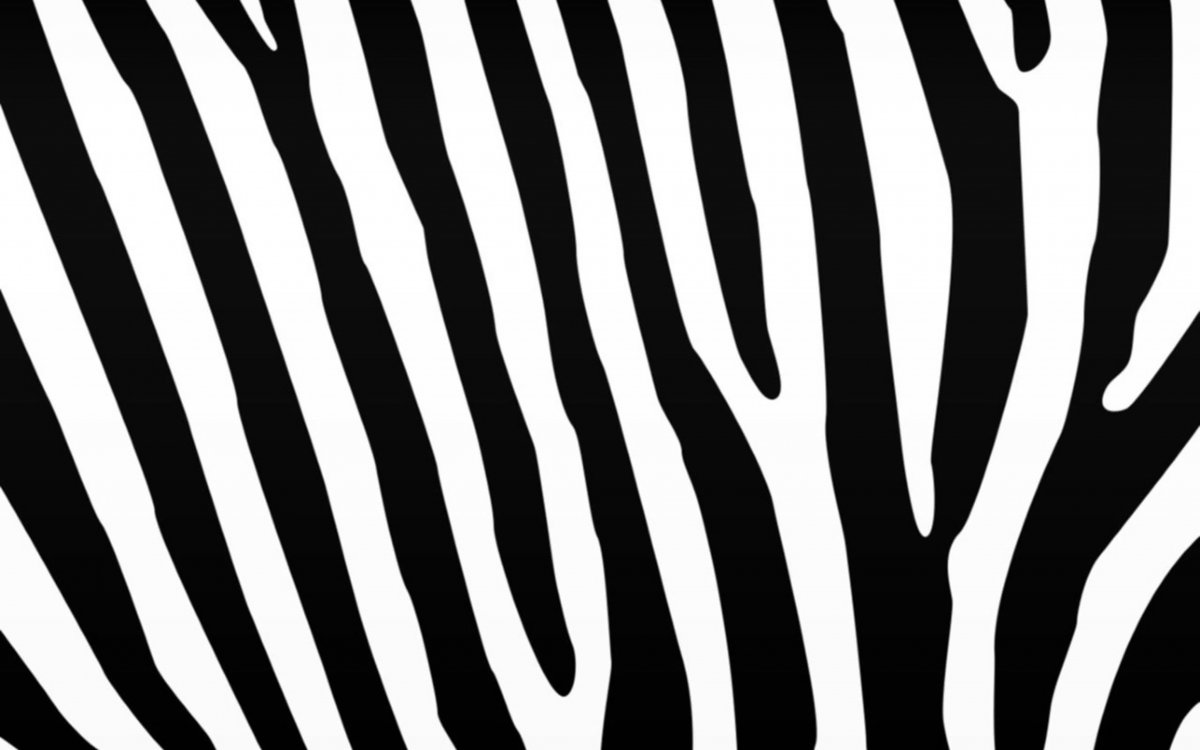 Полоски зебры паттерн