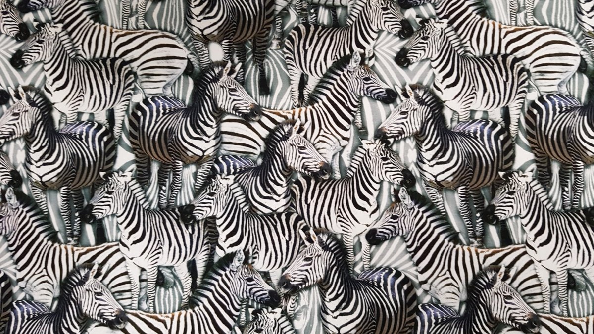 Зебра фактура