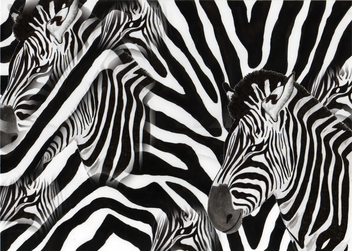 Ткань Зебра текстура бесшовная