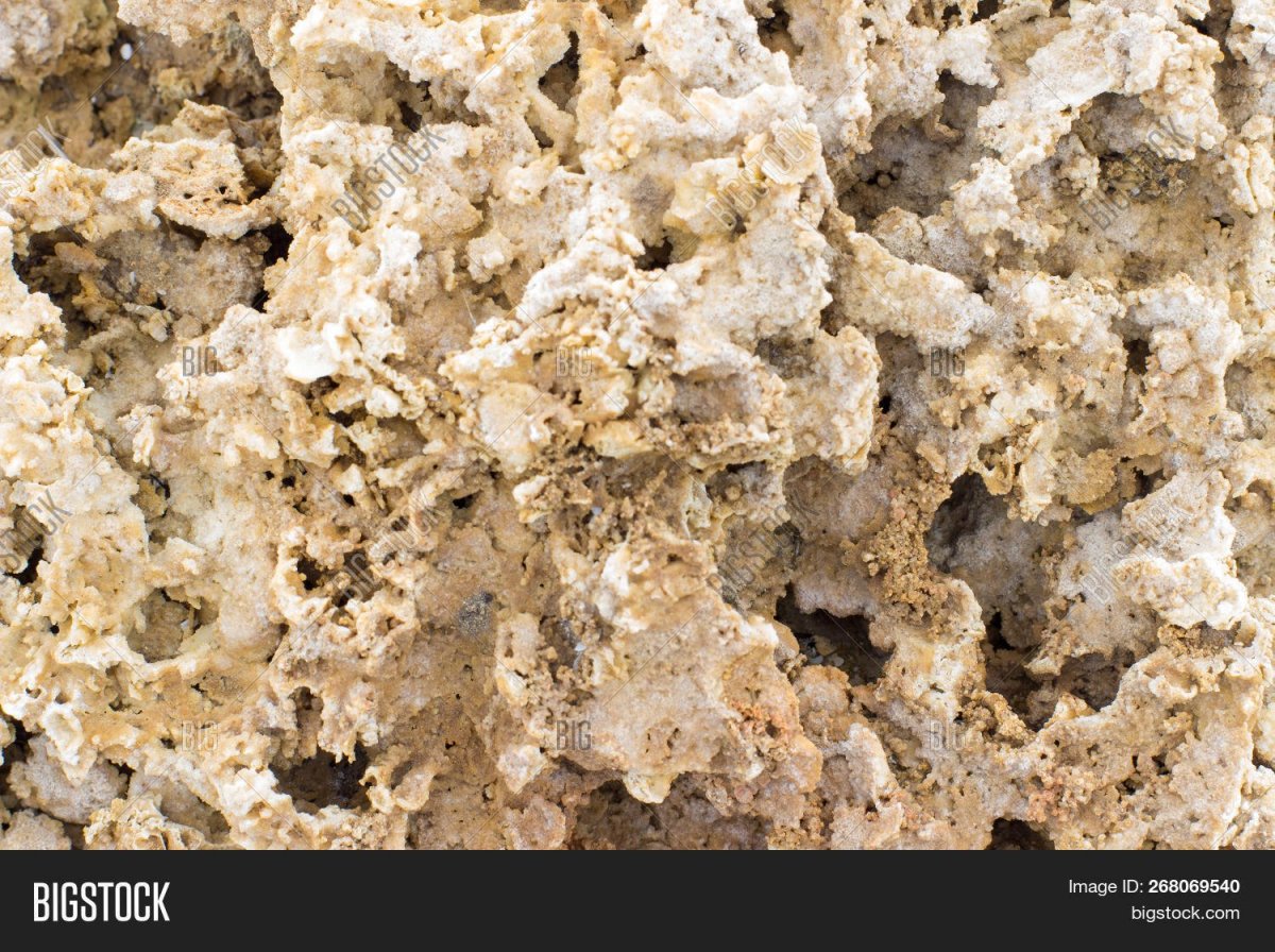 Куркачинский известняк