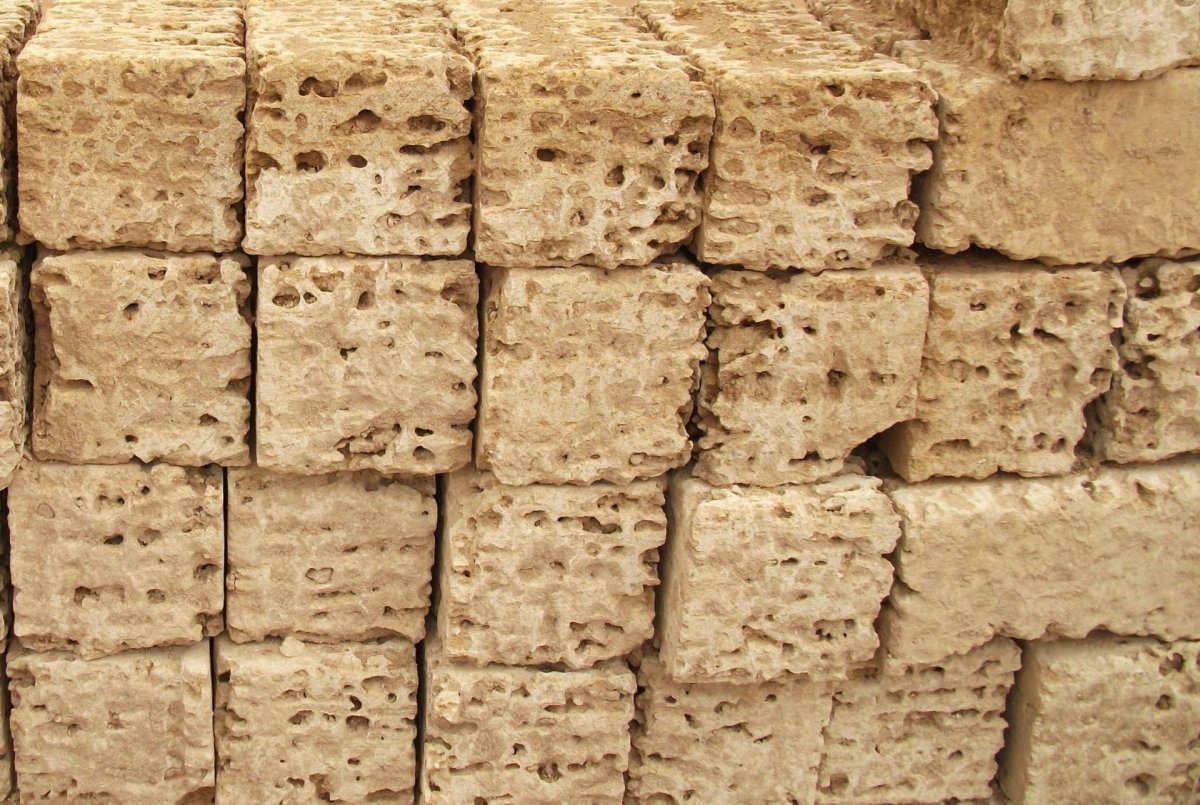 Ракушечник текстура бесшовная