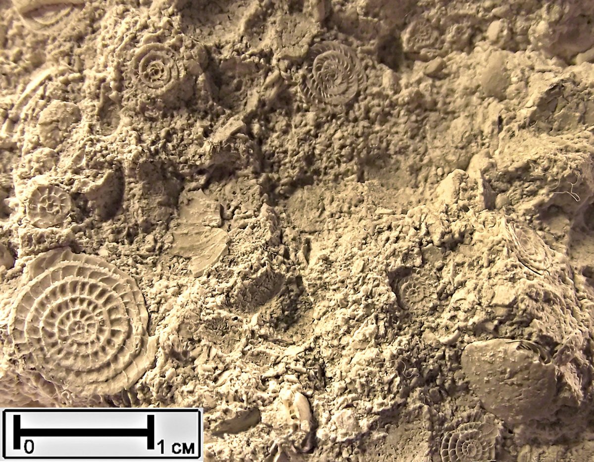 Каменная кладка известняк