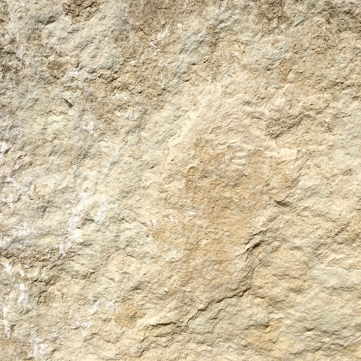 Коралловый камень ракушечник фото