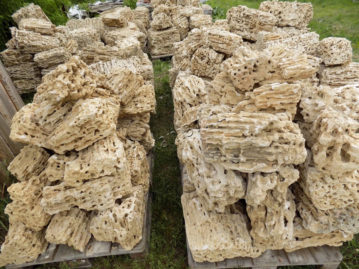 Известняк текстура