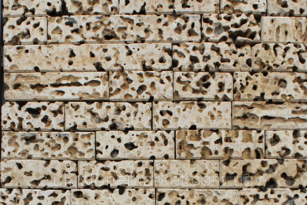 Ракушечник текстура