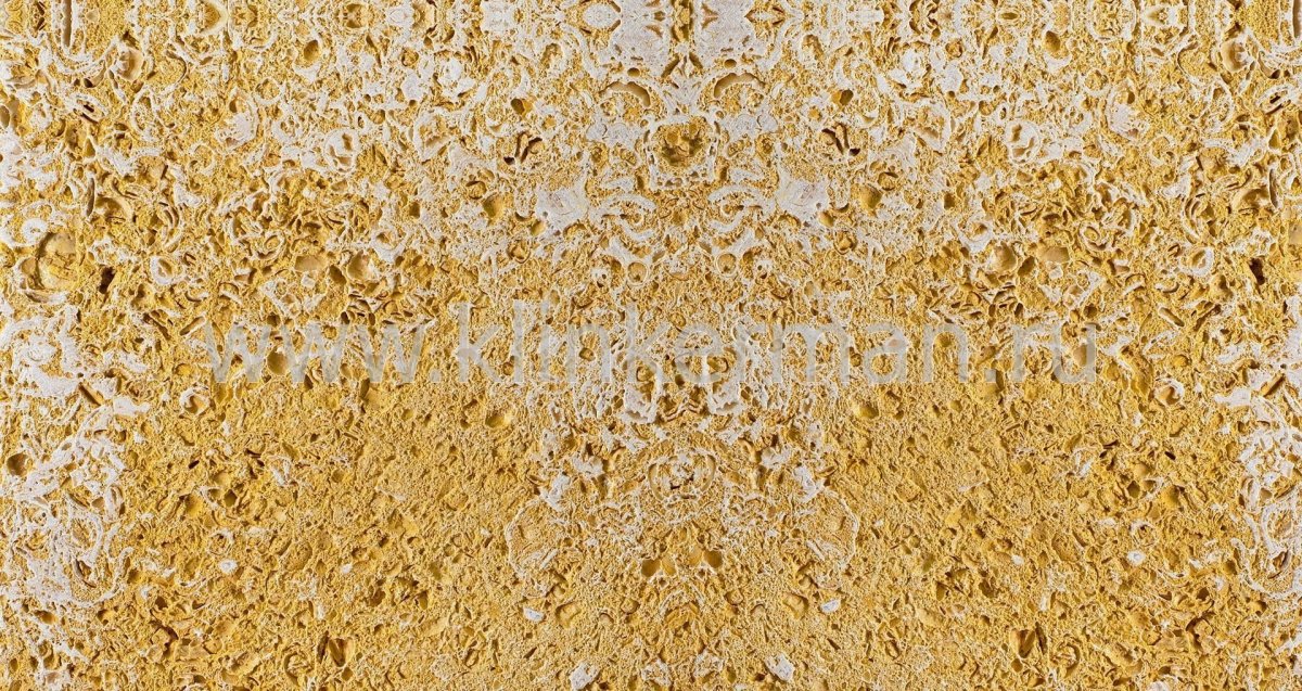 Мшанковый известняк