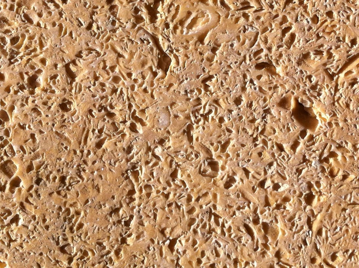 Известняк ракушечник пелециподовый