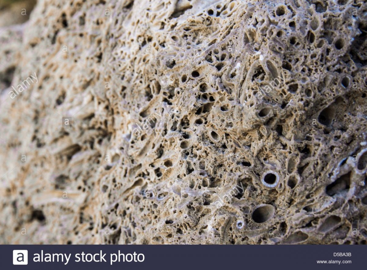 Песчаник Доломит текстура