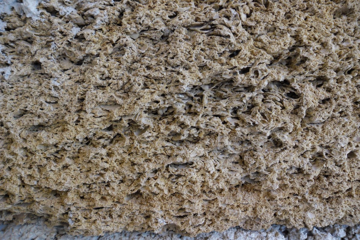 Оолитовый ракушечник фото