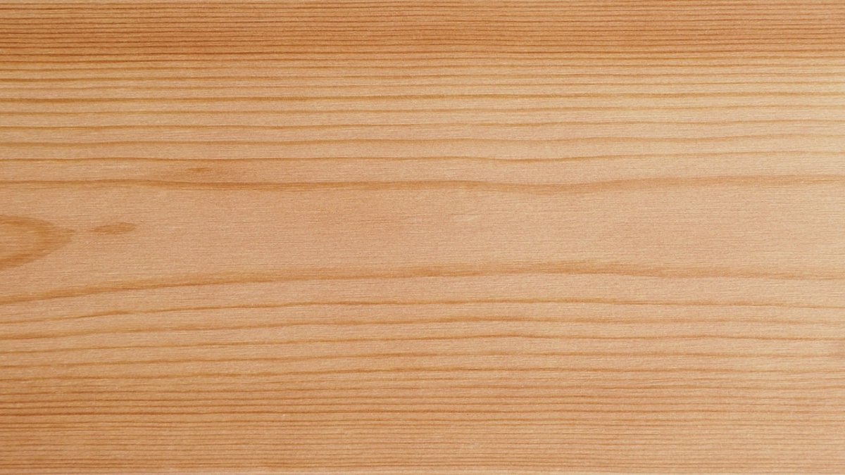 Бук древесина