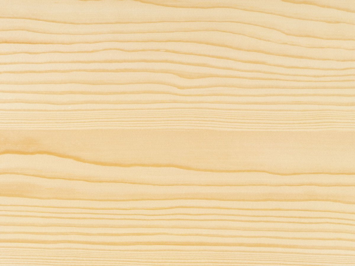 Текстура древесины