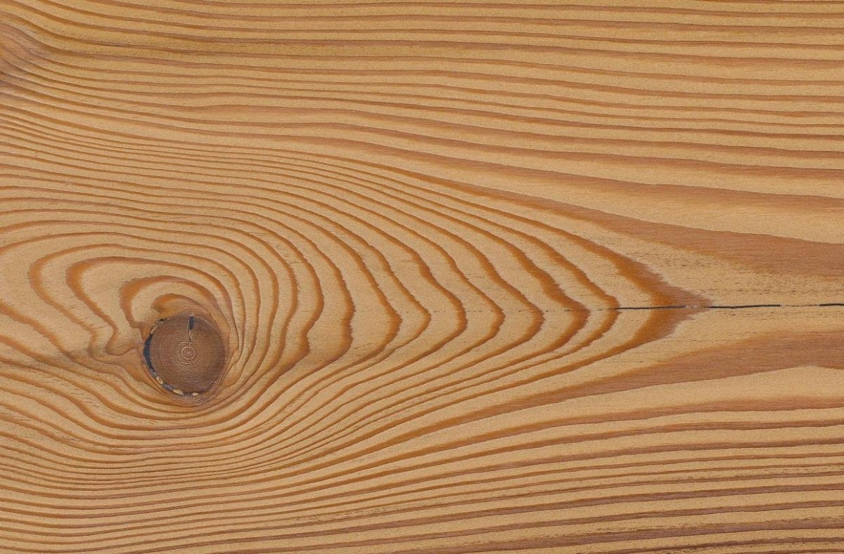 Пихта текстура древесины