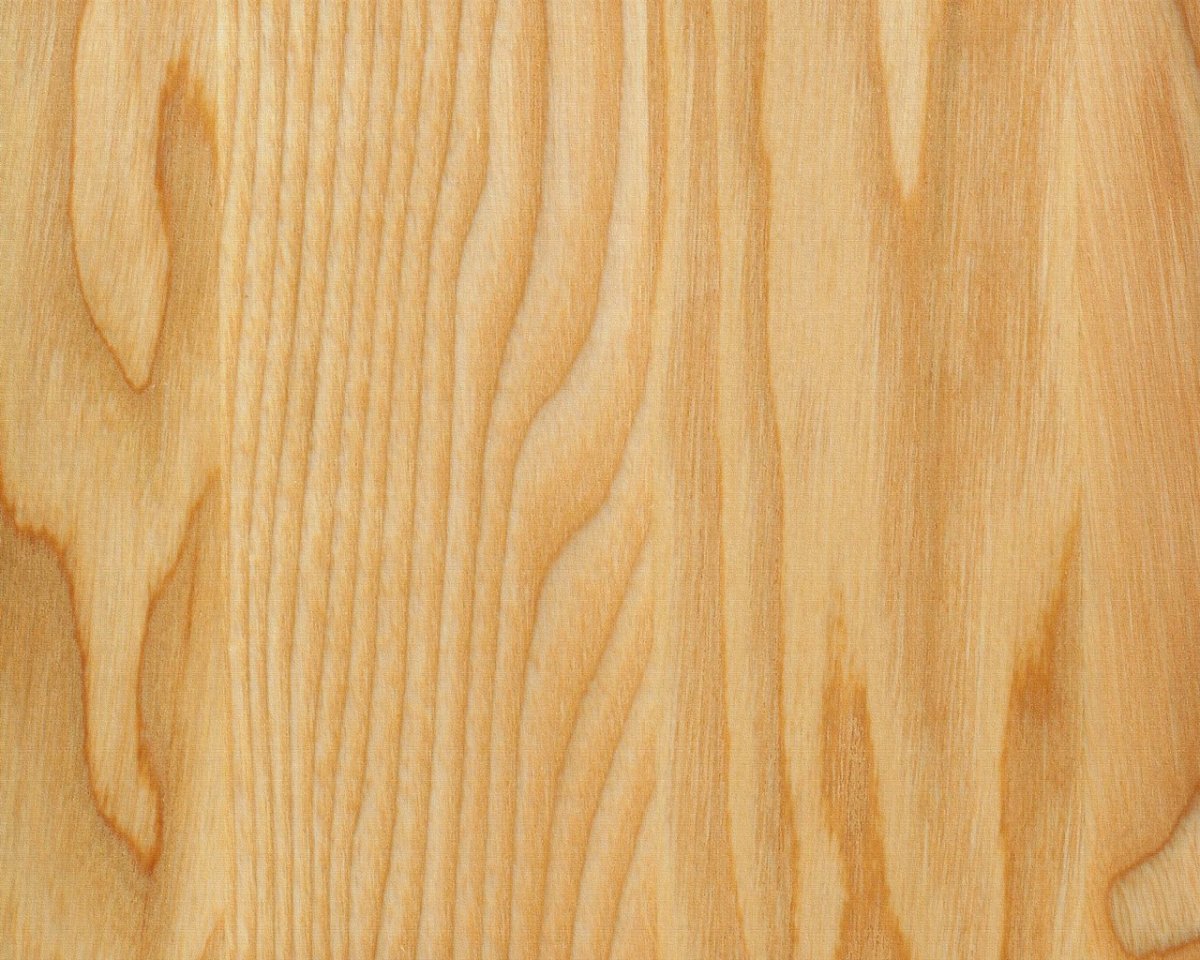 Магнолия текстура древесины