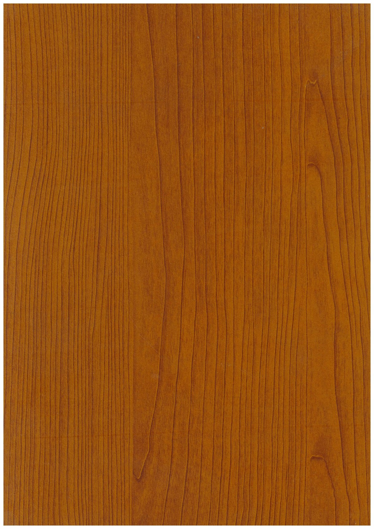 Ольха срез древесины