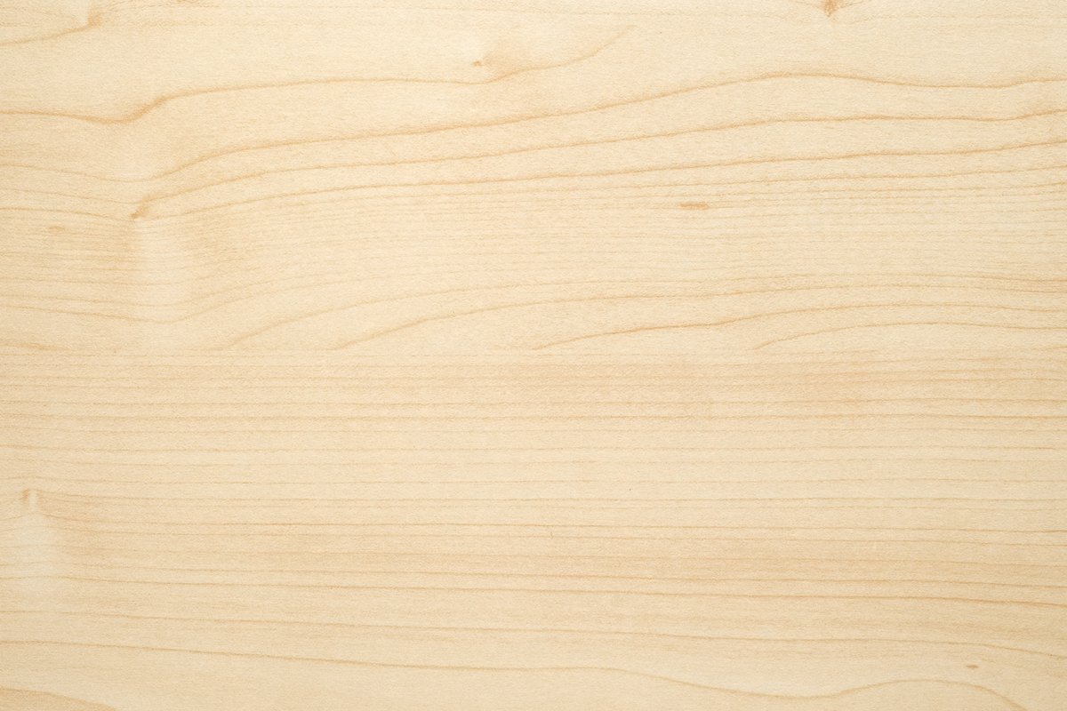 Спил сосны дендрохронология