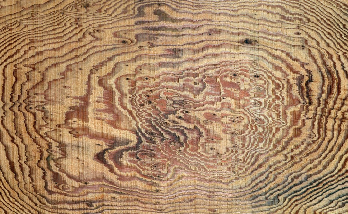 Кедр текстура древесины