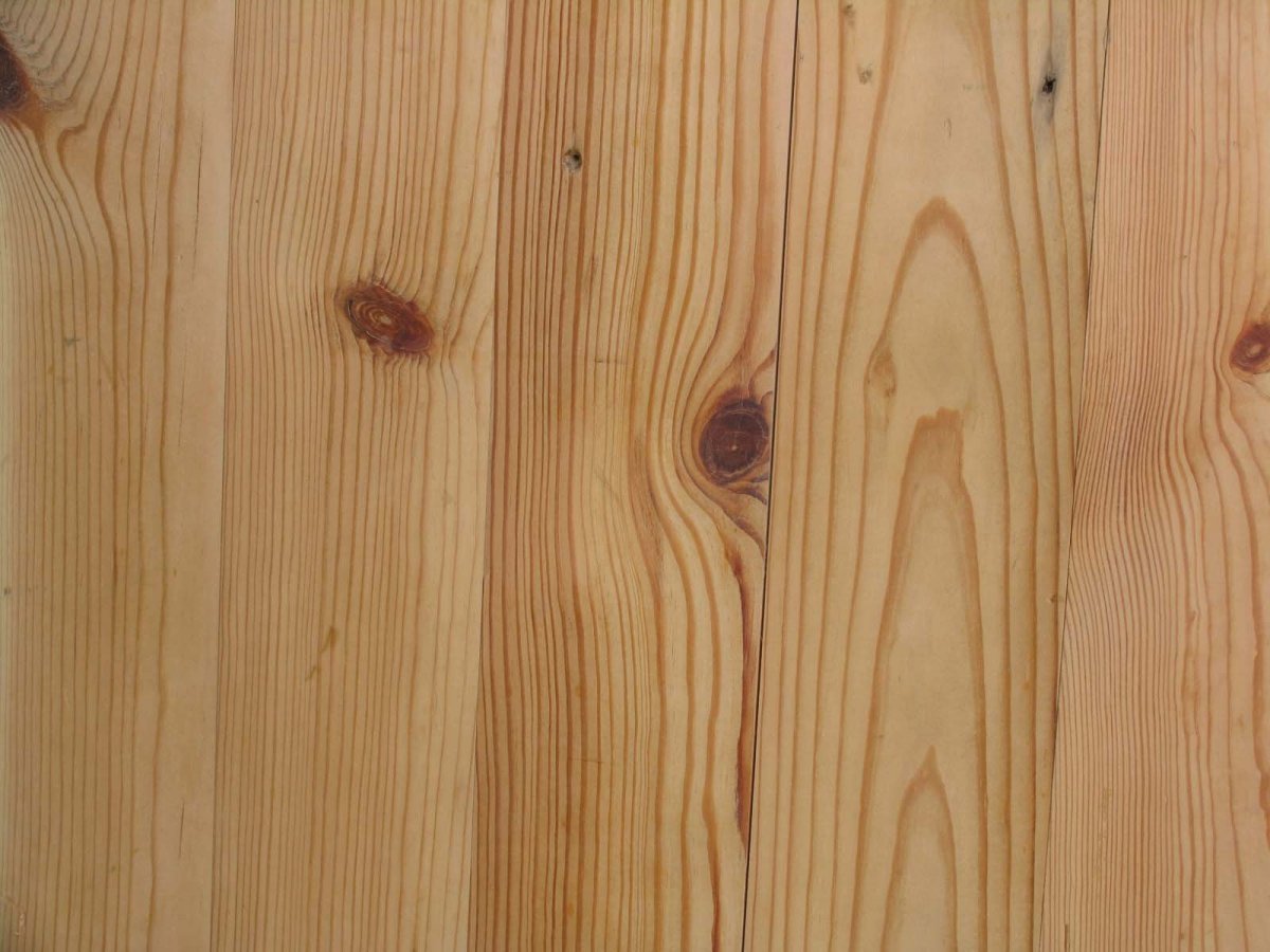 Текстура хвойных пород древесины