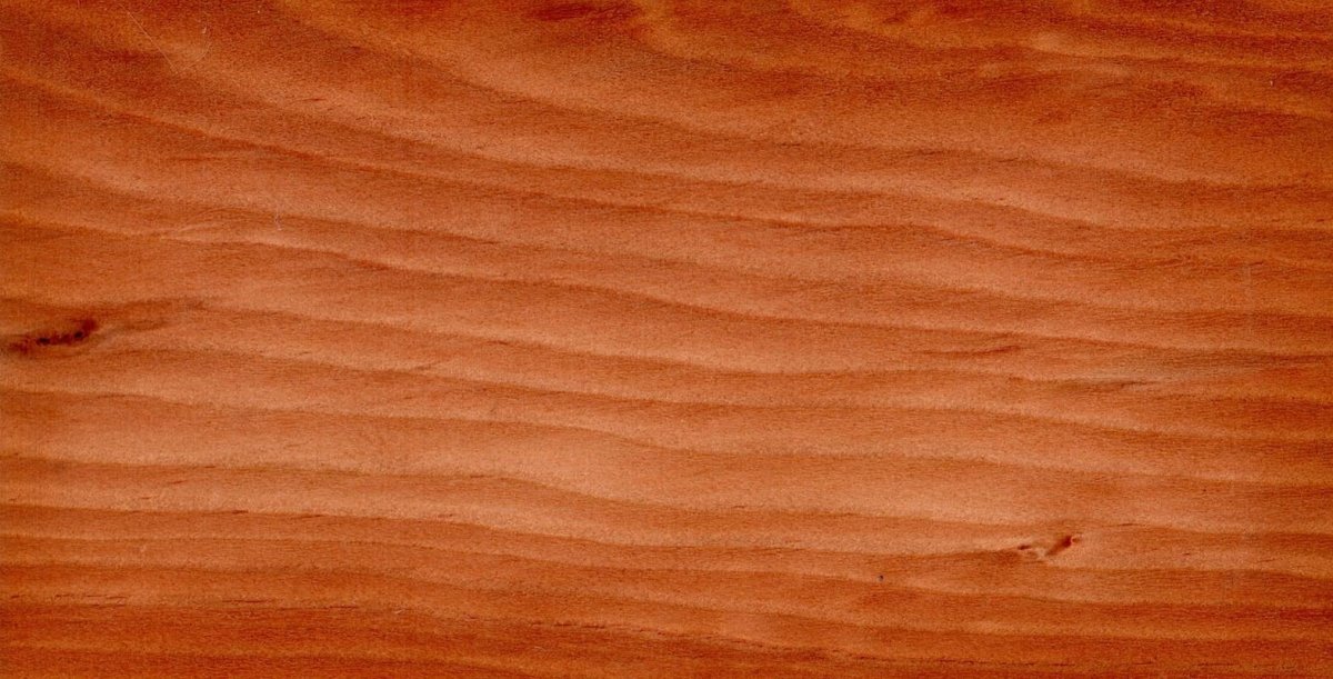 Текстура ствола дерева