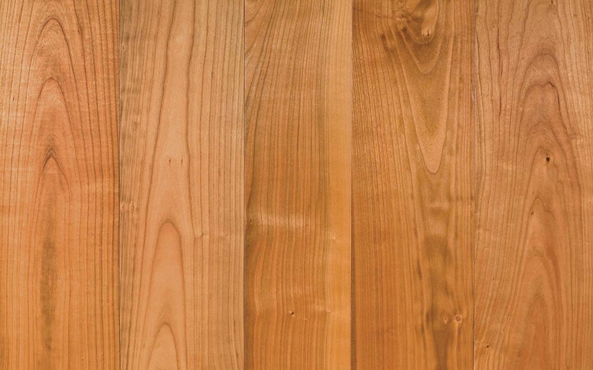 Текстура дерева кедр канадский