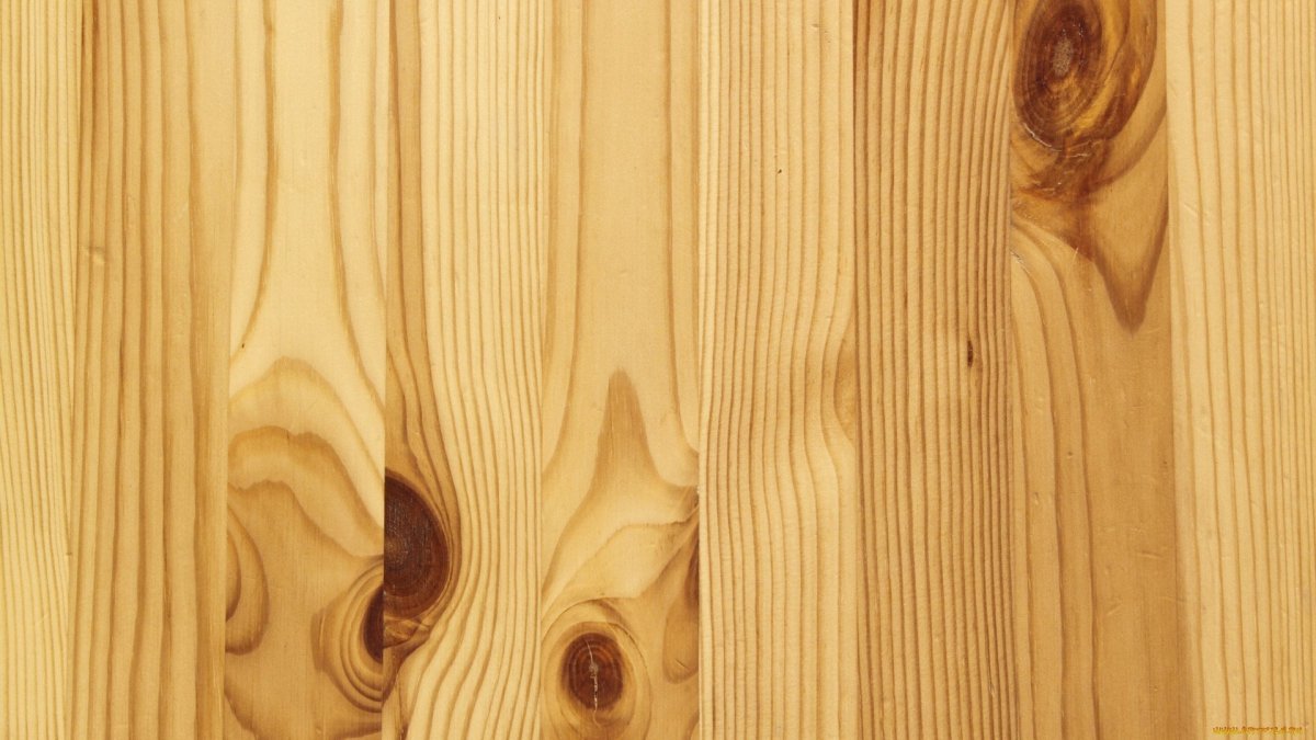 Пихта Сибирская древесина текстура