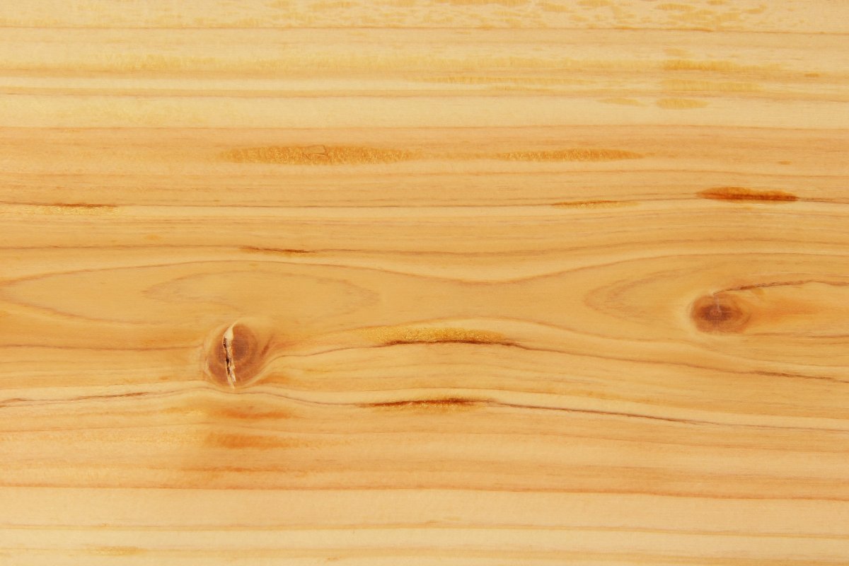 Кедр Сибирский срез