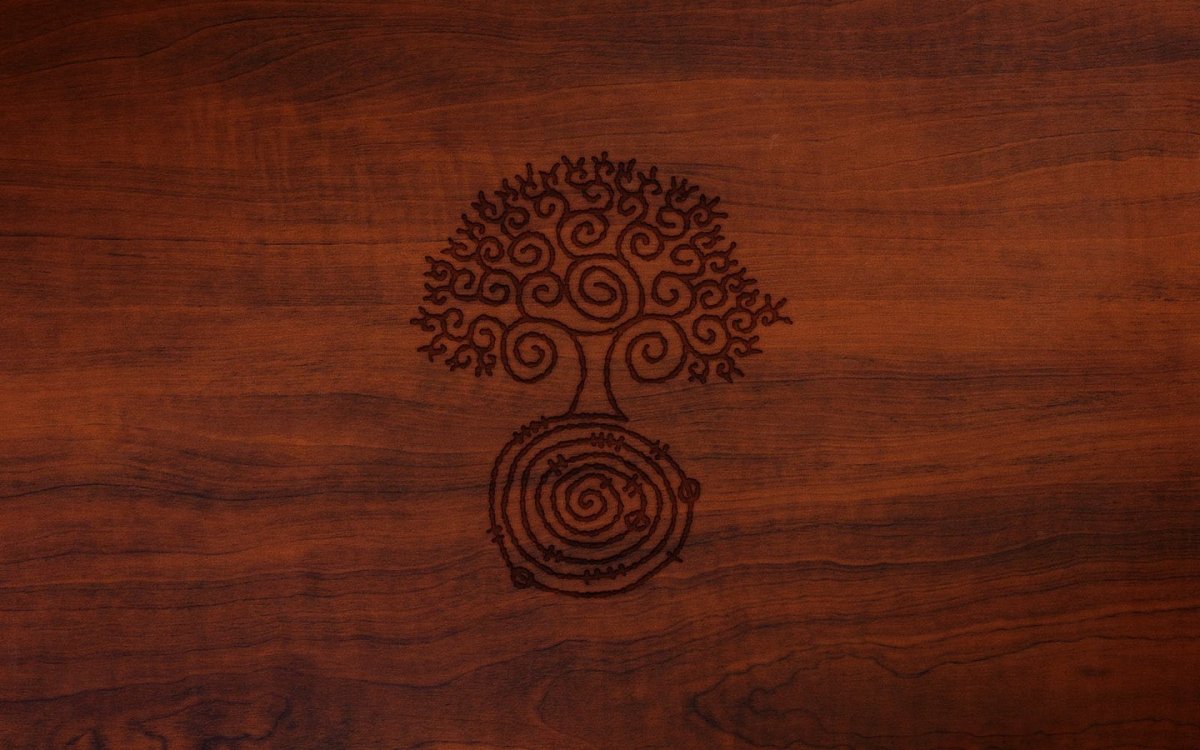 Кедр Сибирский древесина текстура