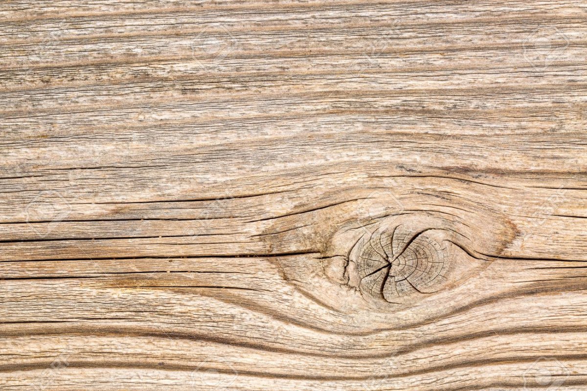 Слотекс ель серебристая