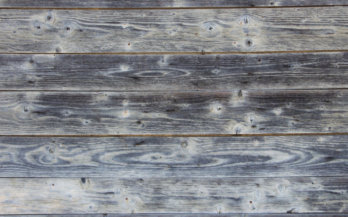 Фотофон дерево