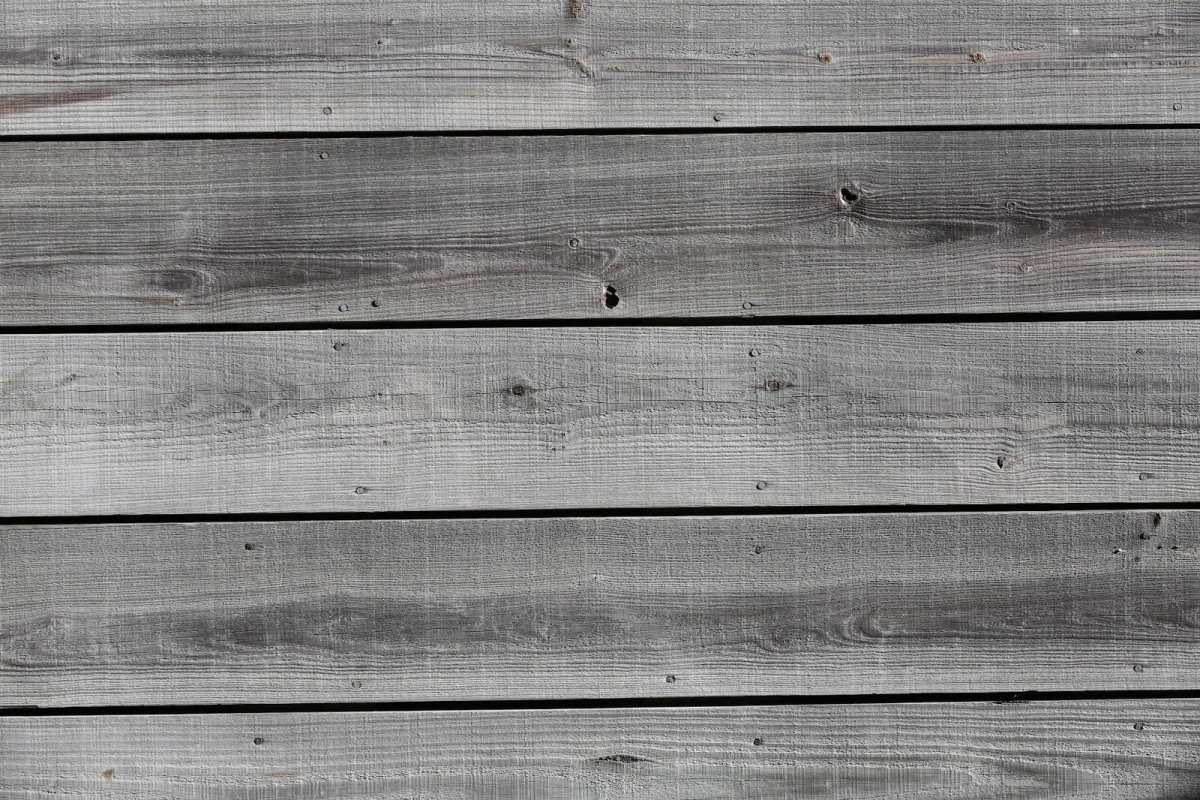 Серое дерево