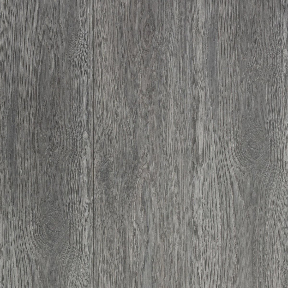 Шеффилдский серый дуб