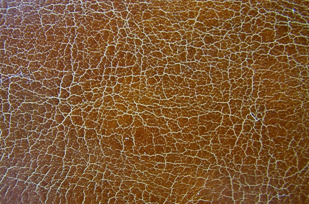 Старая кожа