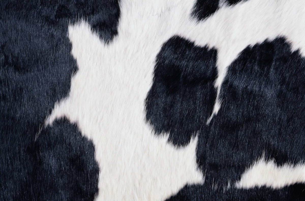 Коровья шерсть