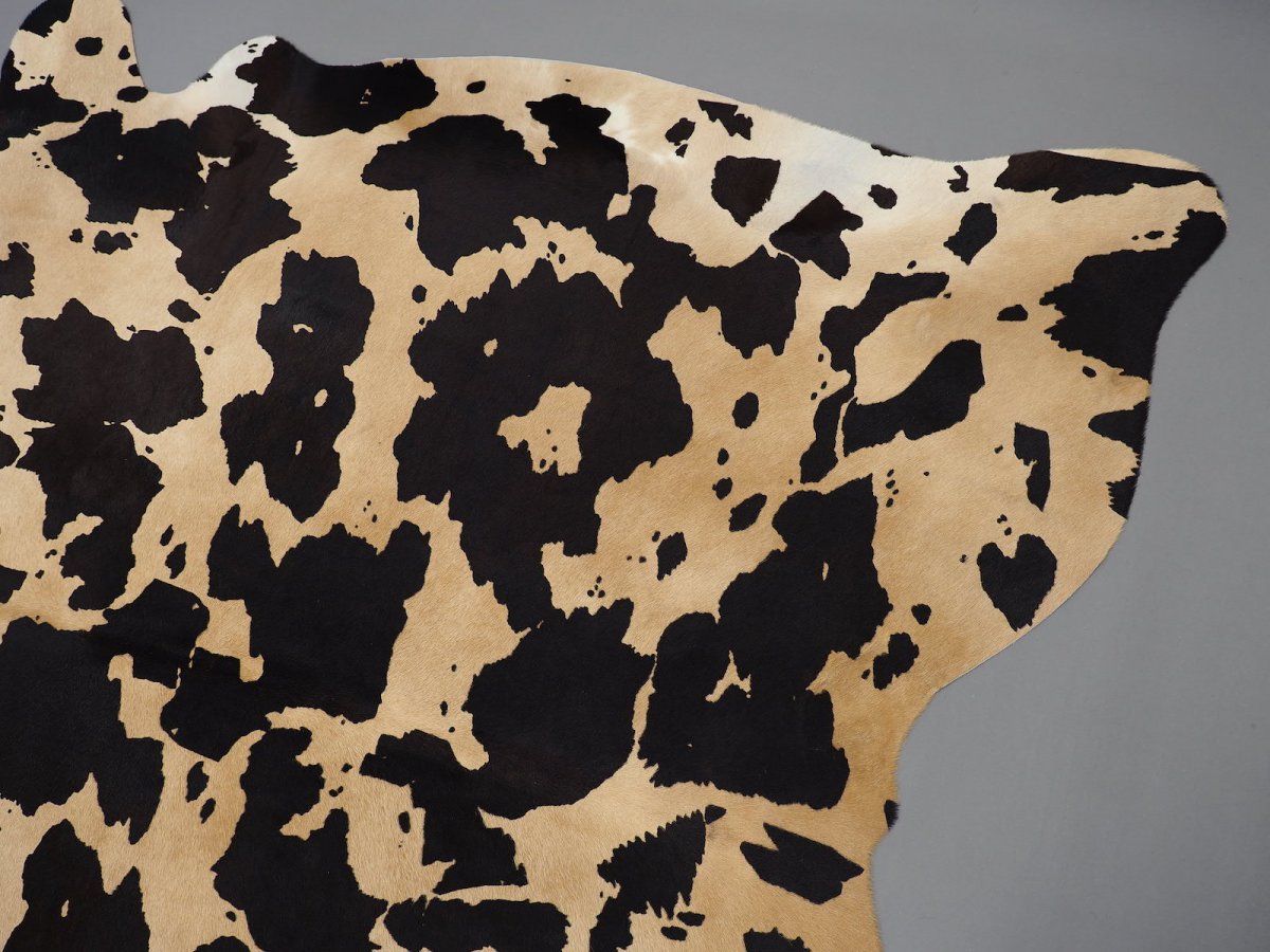 Пятна далматинца