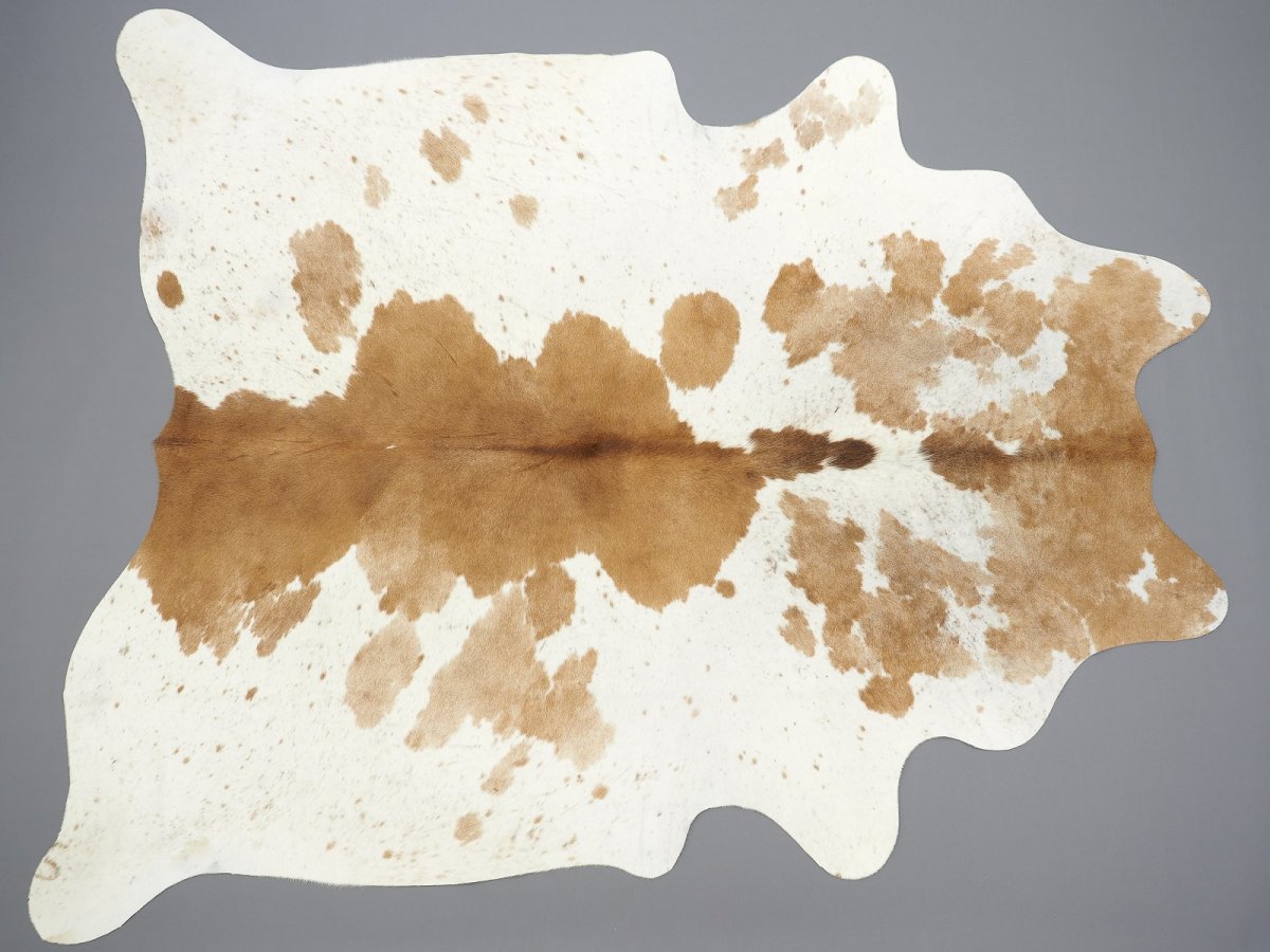 Шкура теленка