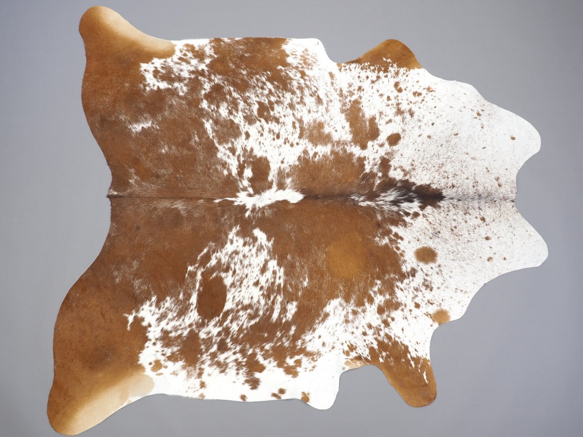 Пятна далматинца