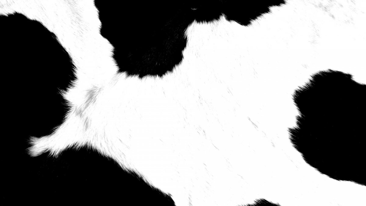 Коровья шкура икеа