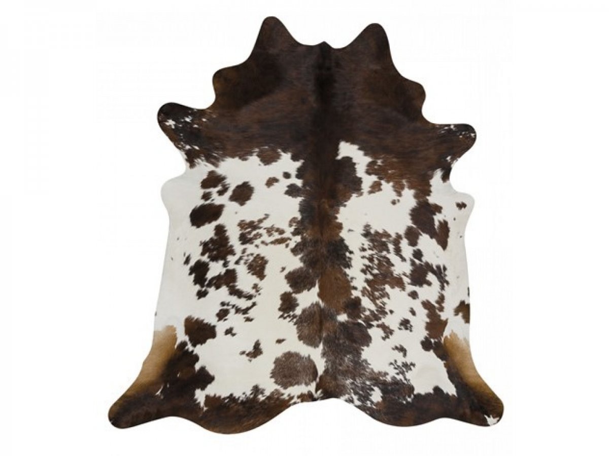 Шкура животного