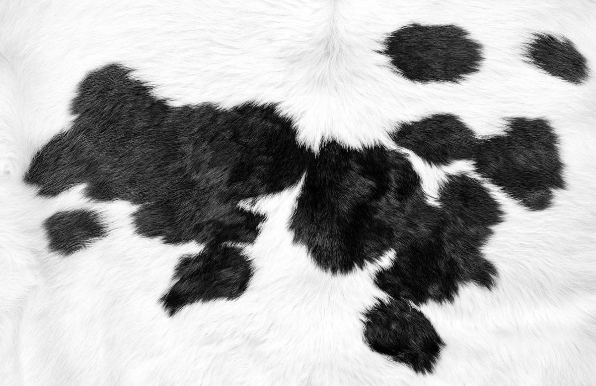 Коричневая шкура